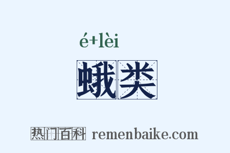 蛾类是什么意思的图片